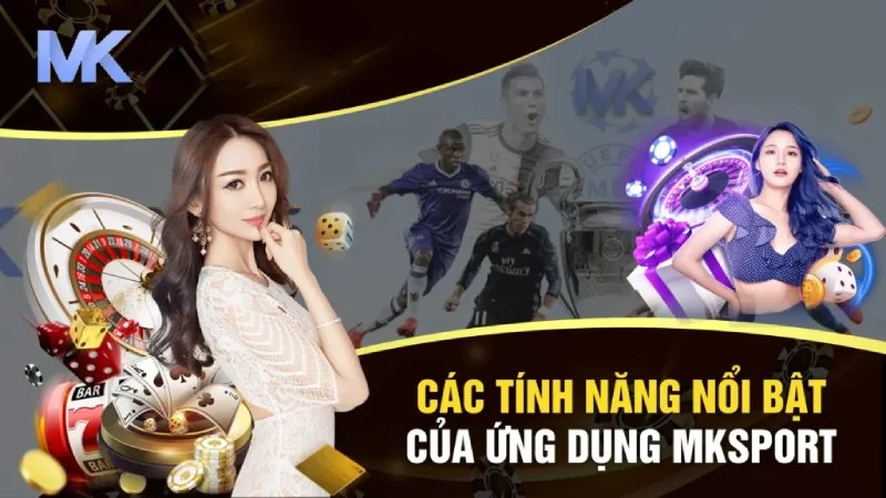 Tổng quan về ứng dụng di động MK